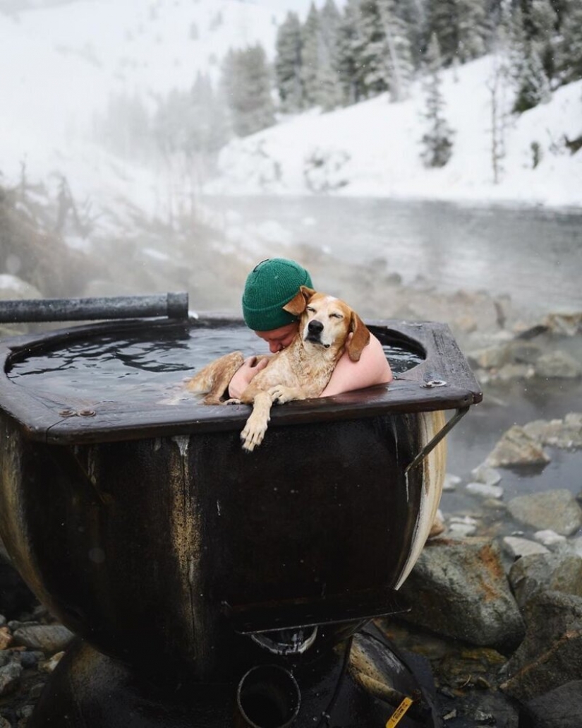 Como un viaje fotógrafo Theron Humphrey y su perro Maddie