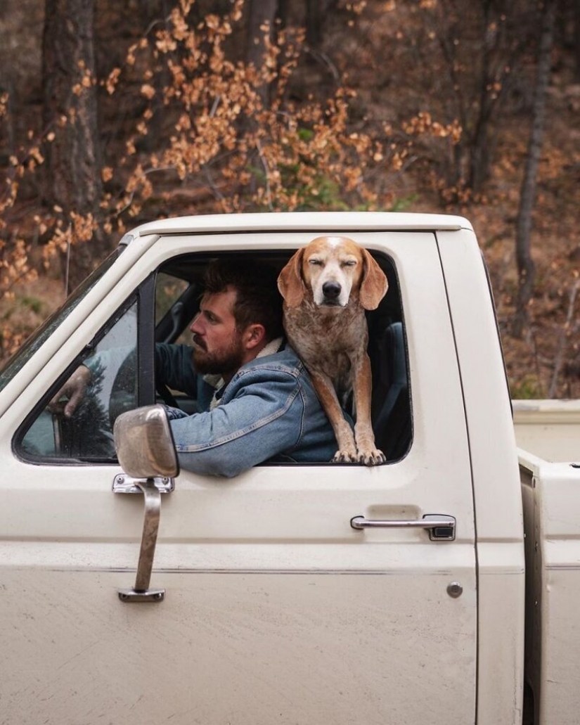 Como un viaje fotógrafo Theron Humphrey y su perro Maddie