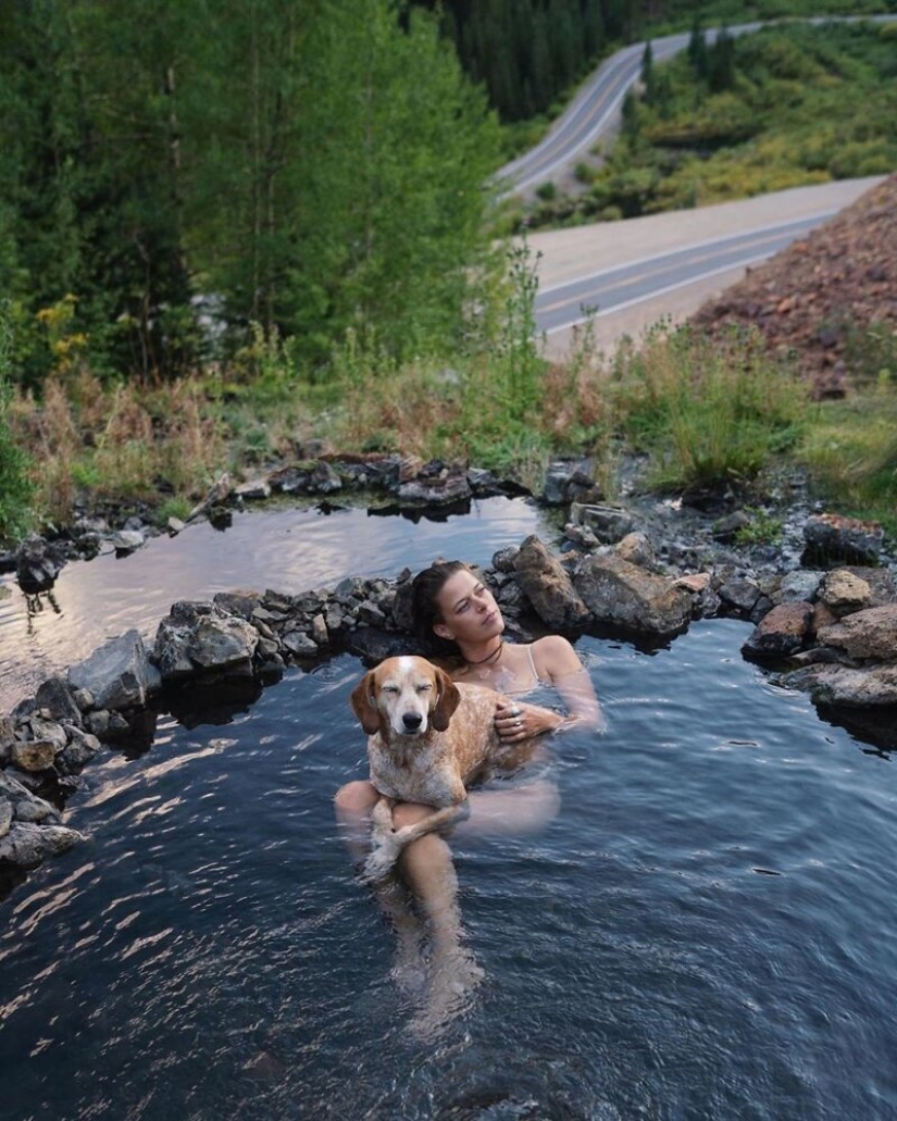 Como un viaje fotógrafo Theron Humphrey y su perro Maddie