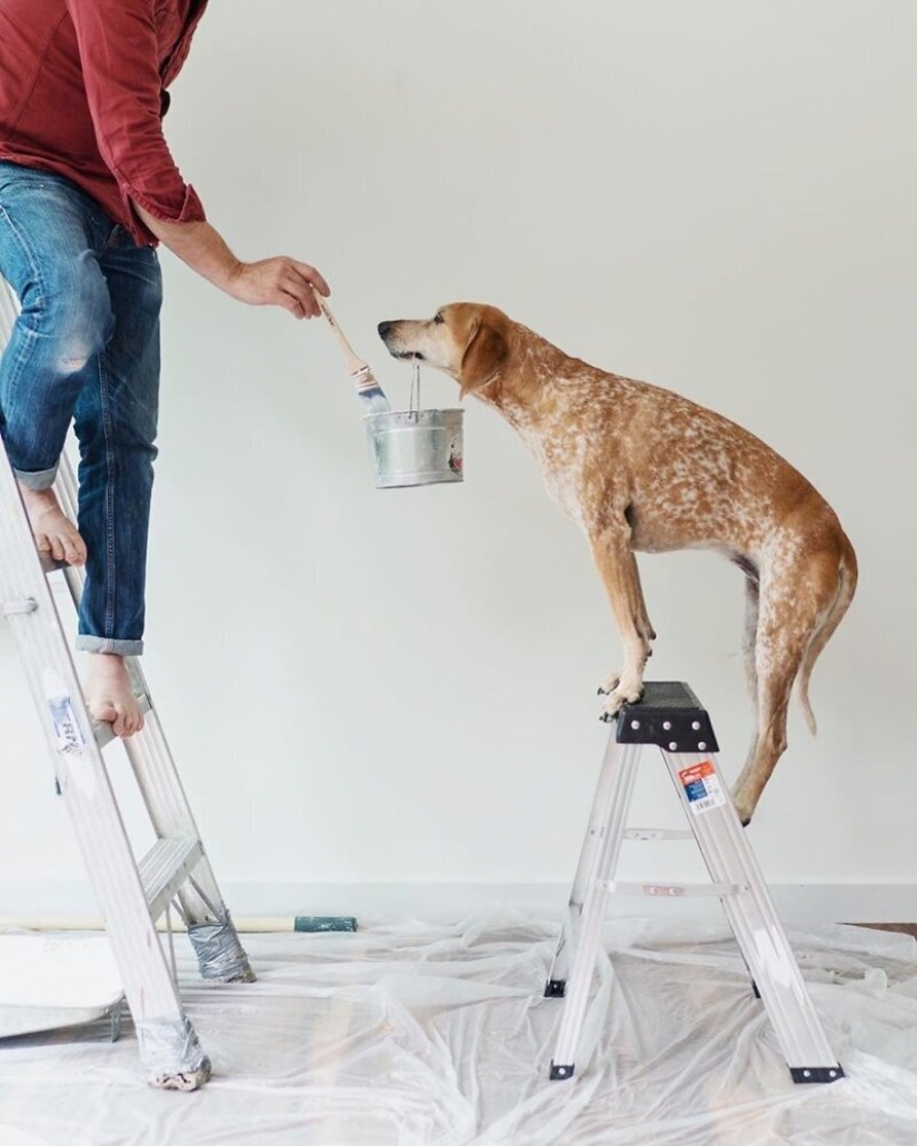 Como un viaje fotógrafo Theron Humphrey y su perro Maddie