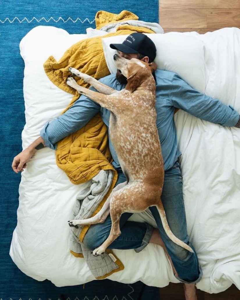 Como un viaje fotógrafo Theron Humphrey y su perro Maddie