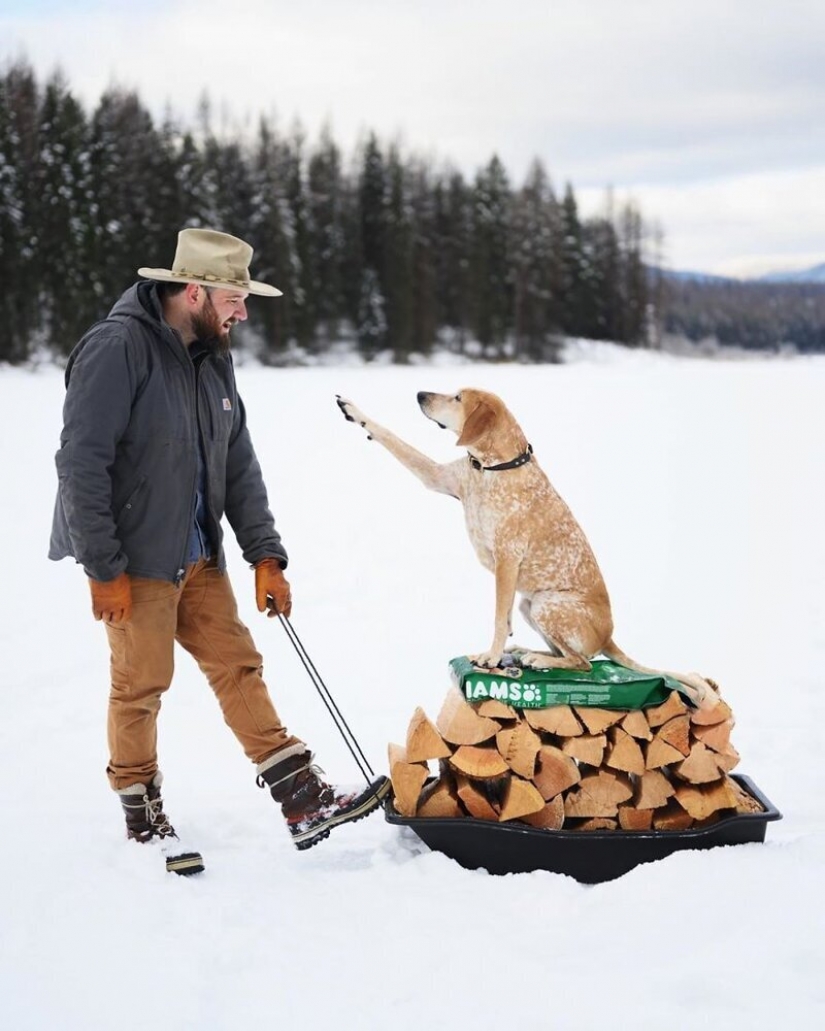 Como un viaje fotógrafo Theron Humphrey y su perro Maddie