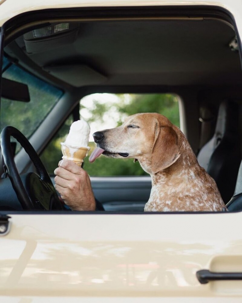 Como un viaje fotógrafo Theron Humphrey y su perro Maddie
