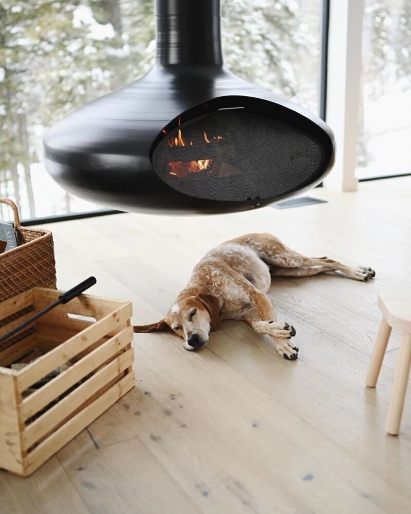 Como un viaje fotógrafo Theron Humphrey y su perro Maddie