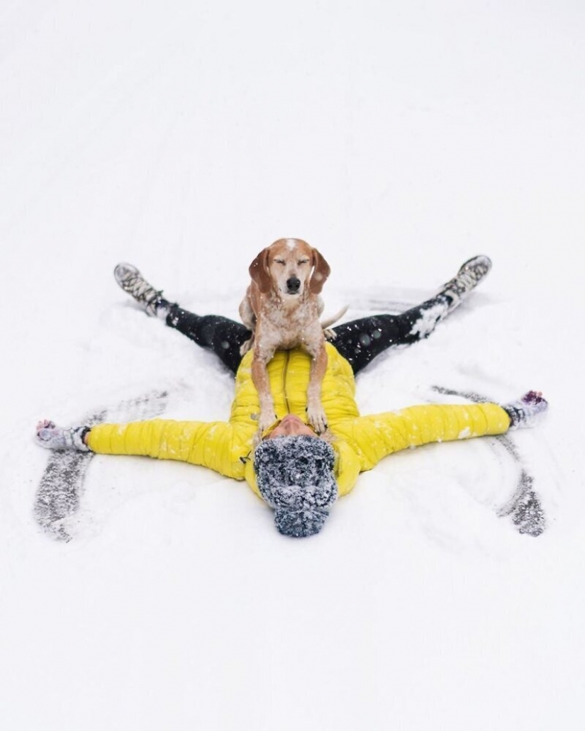 Como un viaje fotógrafo Theron Humphrey y su perro Maddie