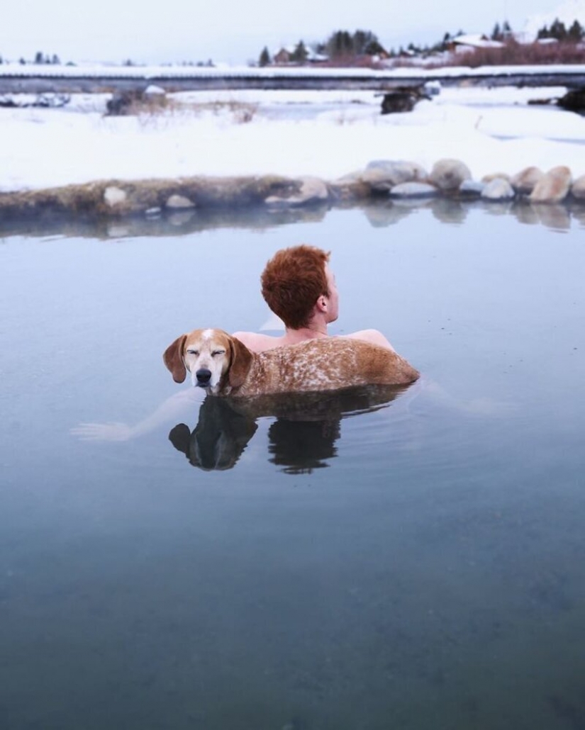 Como un viaje fotógrafo Theron Humphrey y su perro Maddie