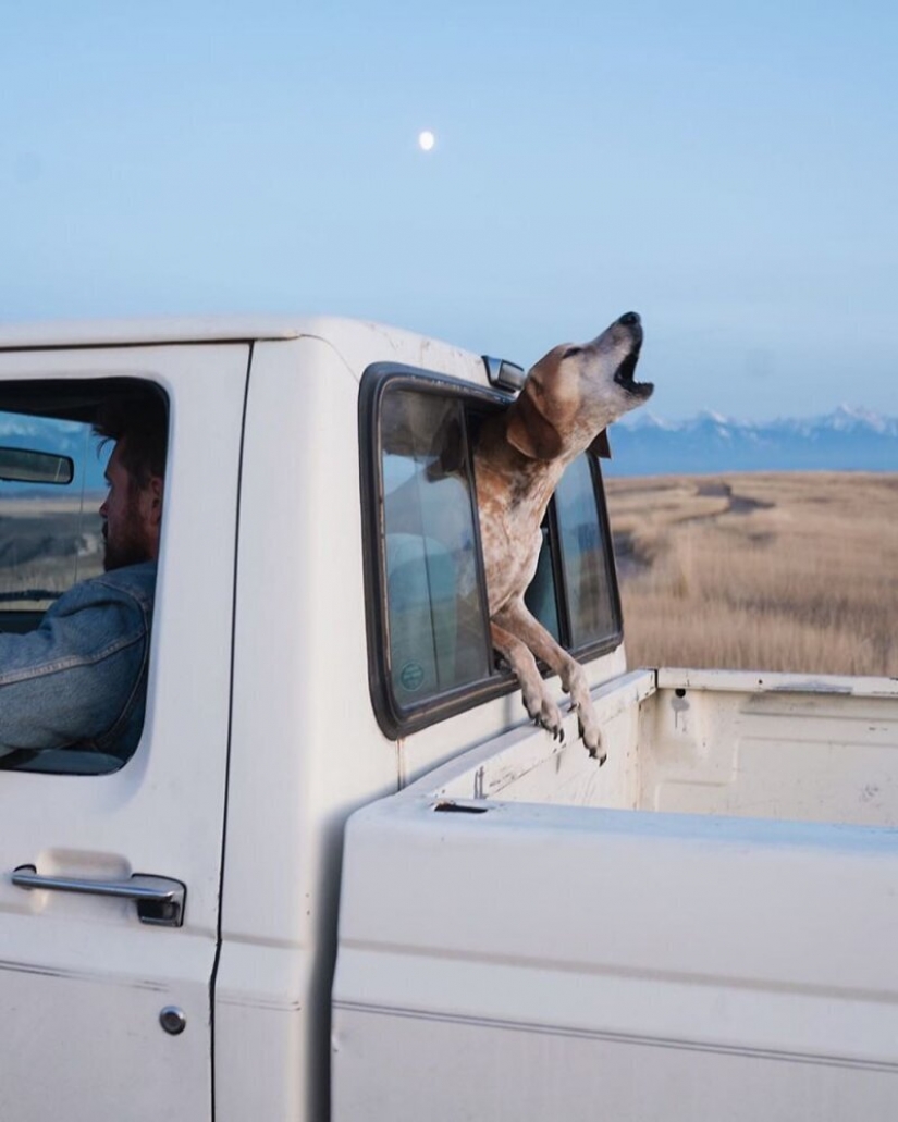 Como un viaje fotógrafo Theron Humphrey y su perro Maddie