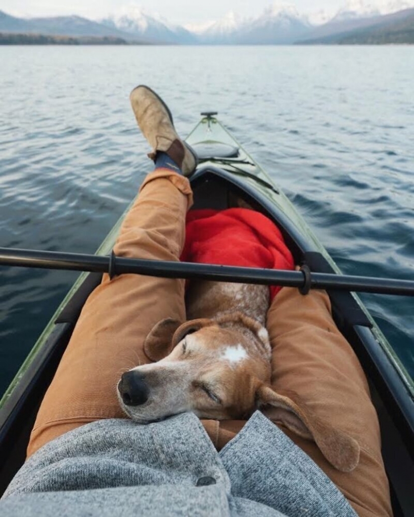 Como un viaje fotógrafo Theron Humphrey y su perro Maddie