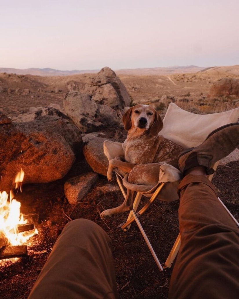 Como un viaje fotógrafo Theron Humphrey y su perro Maddie