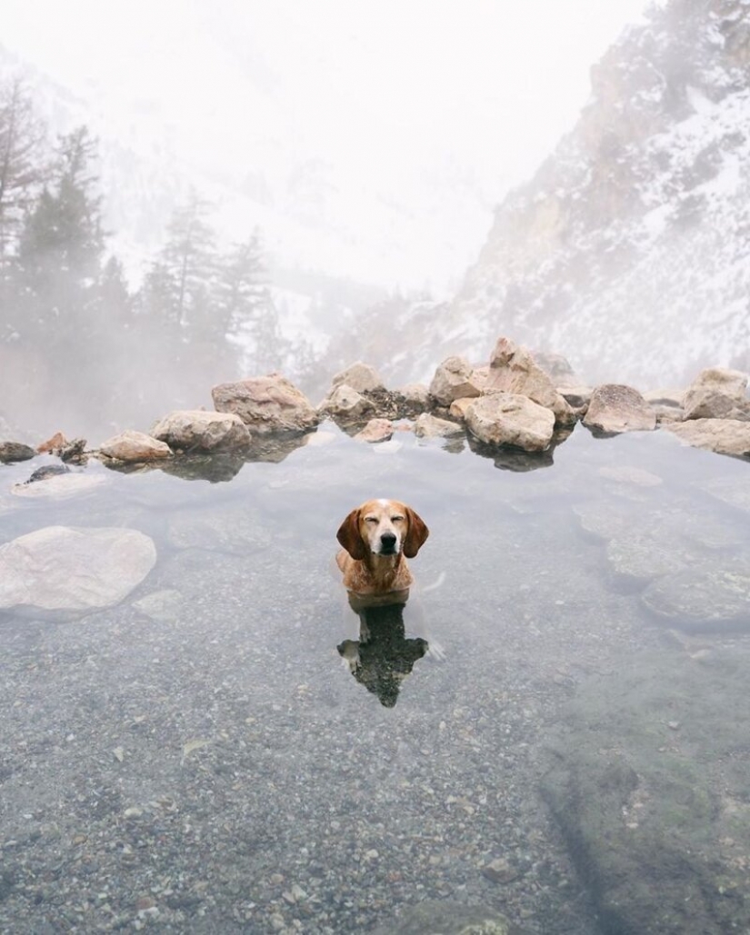 Como un viaje fotógrafo Theron Humphrey y su perro Maddie