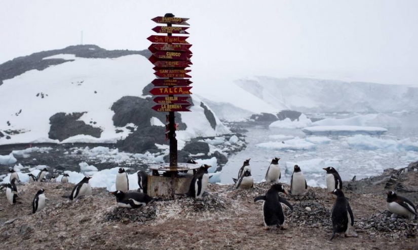 Coronavirus made it to Antarctica — and now the pandemic spread to all continents Coronavirus made it to Antarctica — and now the pandemic spread to all continents