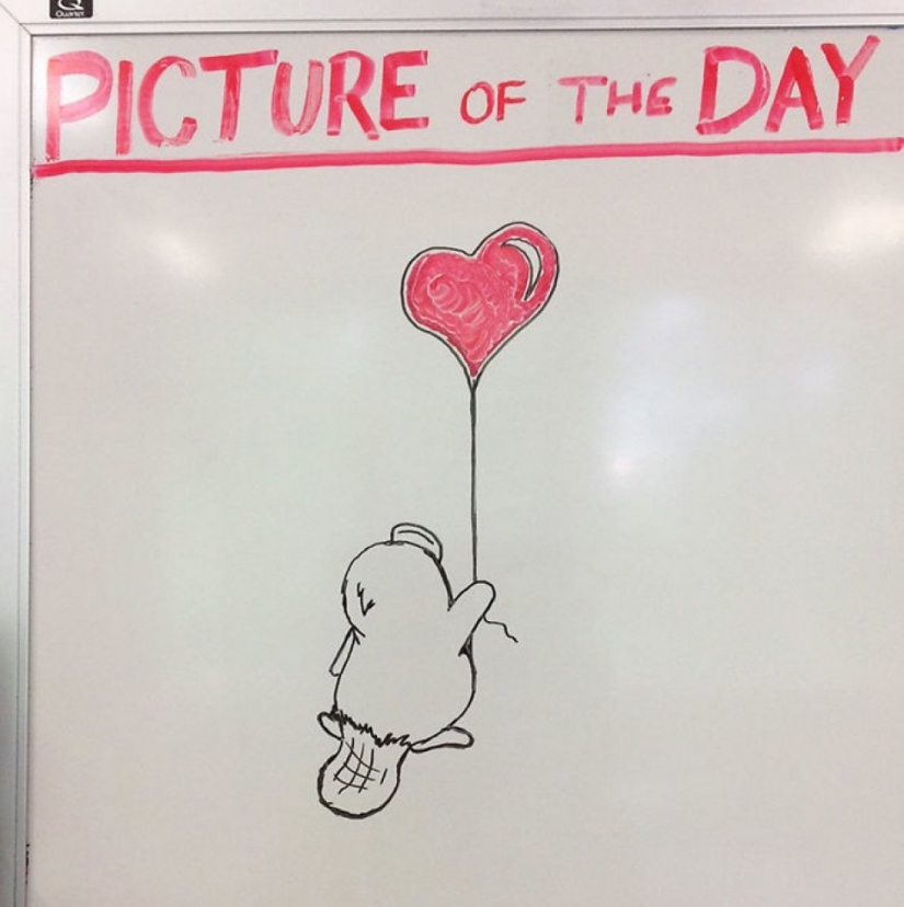 Creative history teacher every day draws pictures on the Board Creative history teacher every day draws pictures on the Board