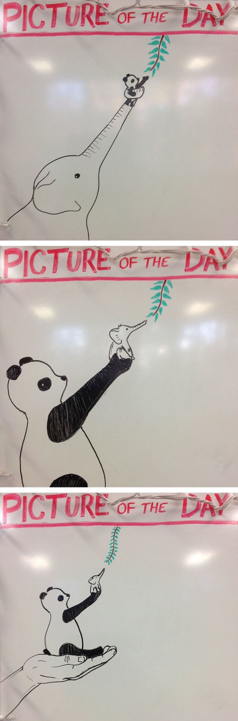 Creative history teacher every day draws pictures on the Board Creative history teacher every day draws pictures on the Board