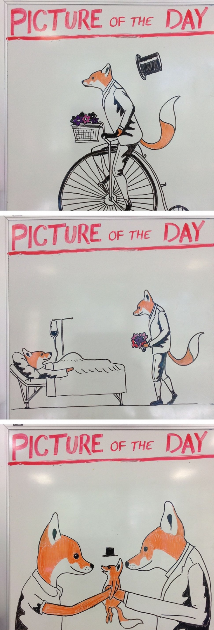 Creativo maestro de historia que cada día hace dibujos en el Tablero