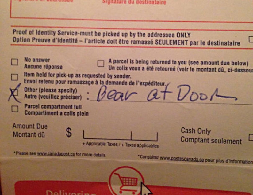 Cuando el cartero — no Pechkin: epic fallas en la entrega de servicios Cuando el cartero — no Pechkin: epic fallas en la entrega de servicios