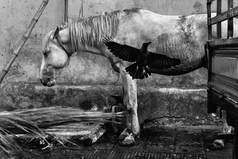 Dark body: the grim history for the best black-and-white images from around the world Dark body: the grim history for the best black-and-white images from around the world