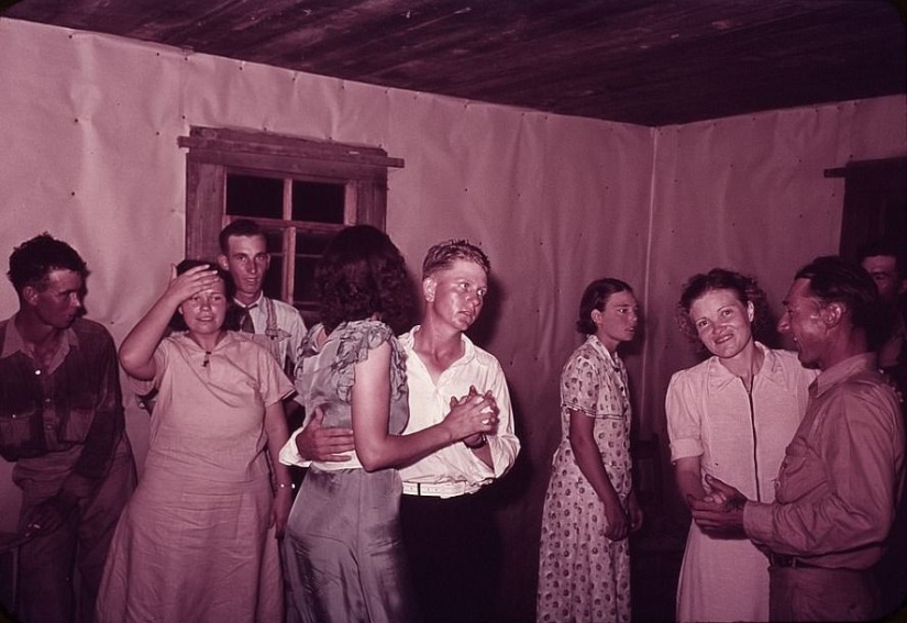 De los caballos de Ford: como un "domesticados" Salvaje Oeste De los caballos de Ford: como un "domesticados" Salvaje Oeste