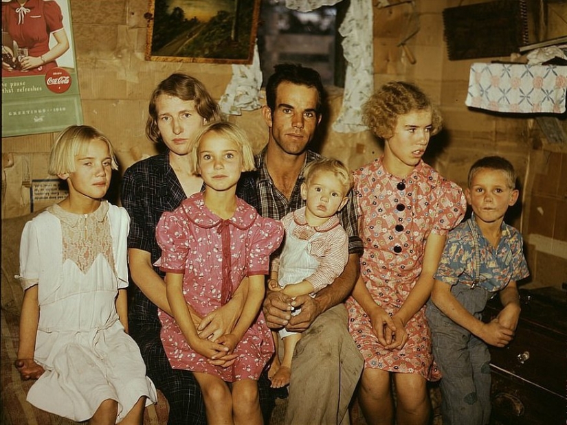 De los caballos de Ford: como un "domesticados" Salvaje Oeste De los caballos de Ford: como un "domesticados" Salvaje Oeste