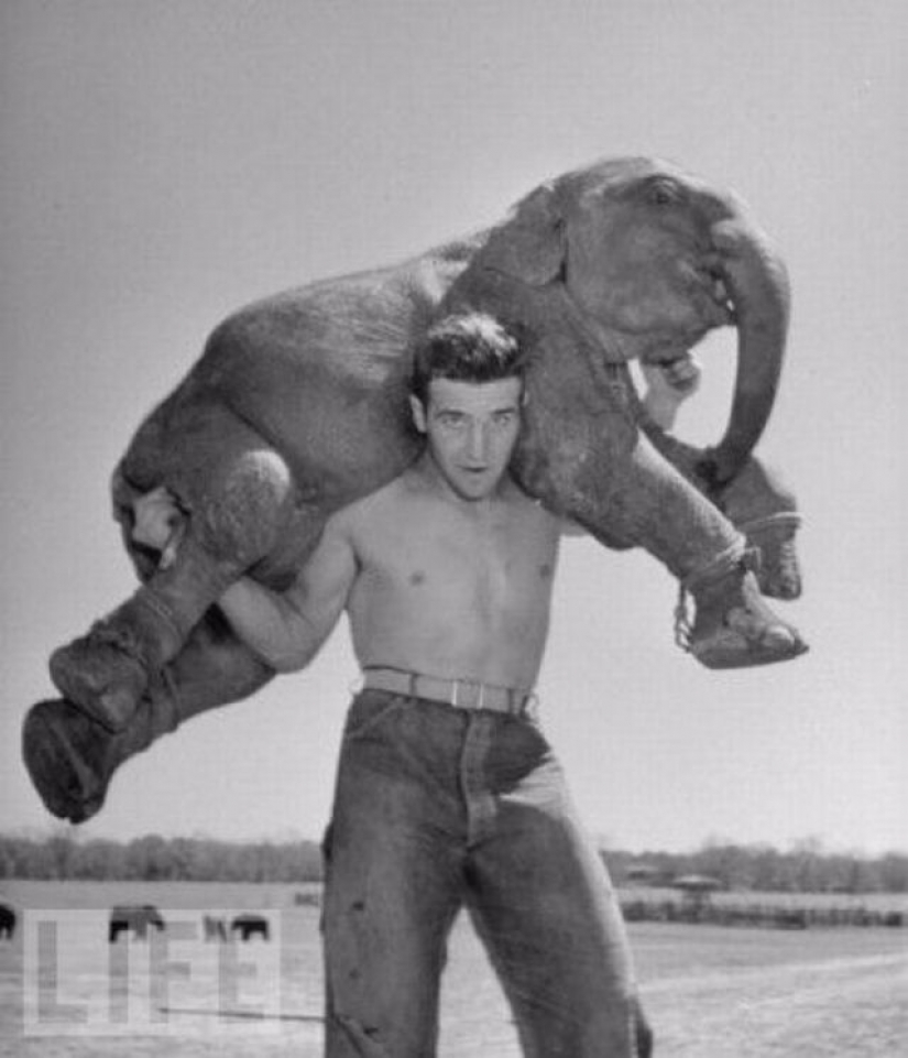 Death defying crazy stunts in retrofuture Death defying crazy stunts in retrofuture