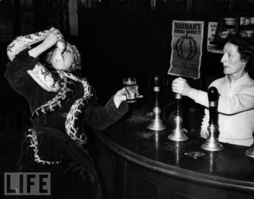 Death defying crazy stunts in retrofuture Death defying crazy stunts in retrofuture