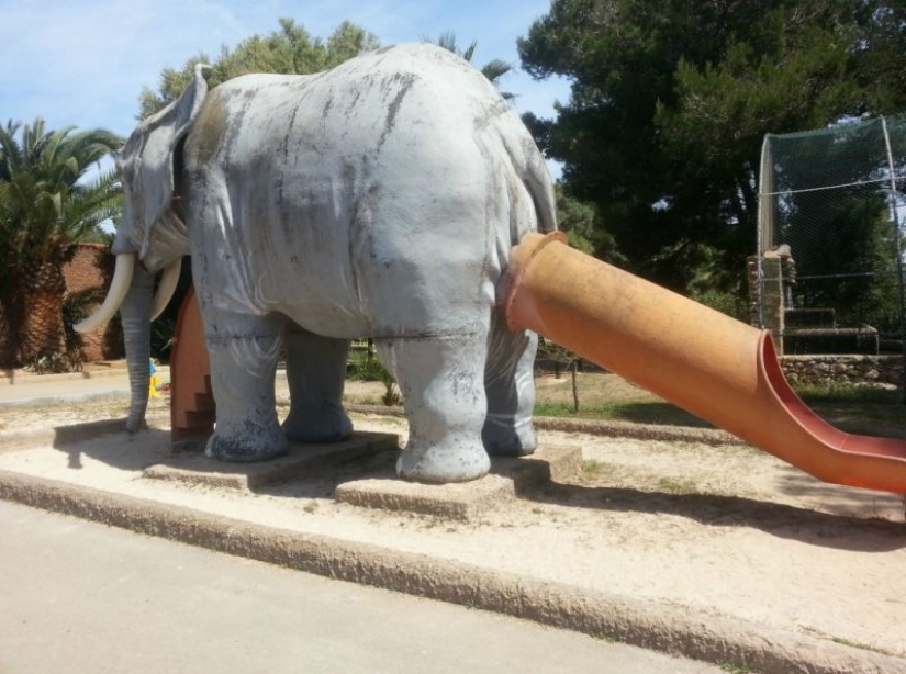 Diagnosis — the designer from God: a collection of strange things, born a true "Pro"