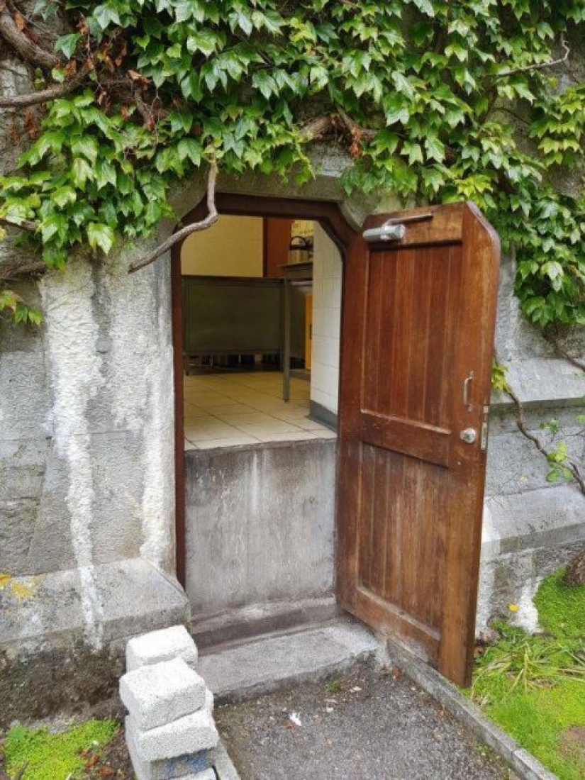 Diagnóstico — el diseñador de Dios: una colección de cosas extrañas, nacido de una verdadera "Pro"