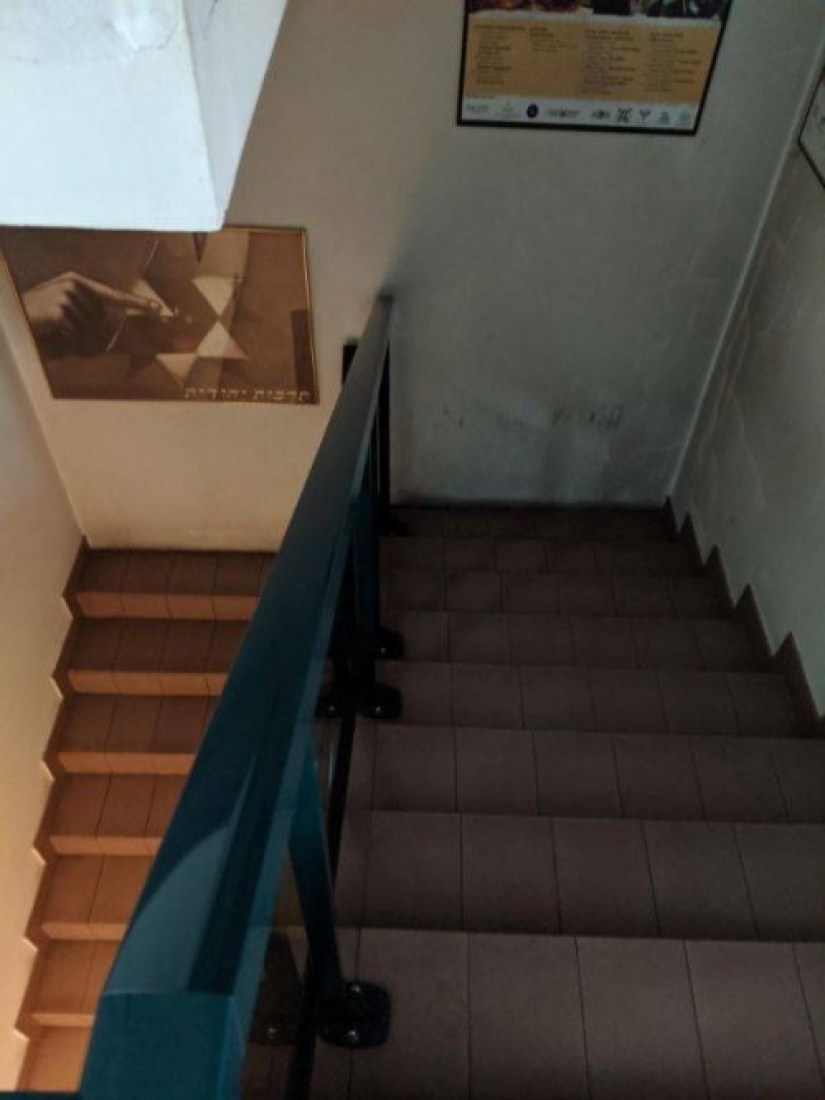 Diagnóstico — el diseñador de Dios: una colección de cosas extrañas, nacido de una verdadera "Pro"