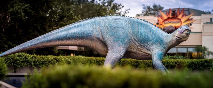 Disneyland — el mundo mágico donde los adultos se convierten en niños