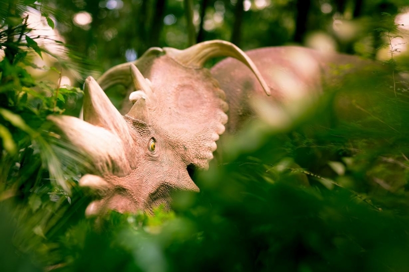 Disneyland — the magical world where adults turn into children