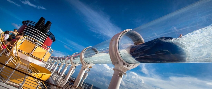 Disneyland — the magical world where adults turn into children