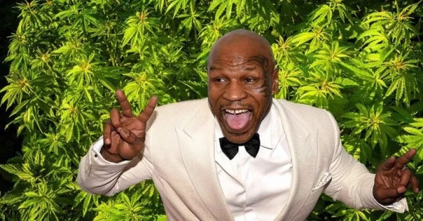 Divertido boxeador Mike Tyson plantea en su rancho de marihuana y trata a sus invitados