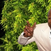 Divertido boxeador Mike Tyson plantea en su rancho de marihuana y trata a sus invitados