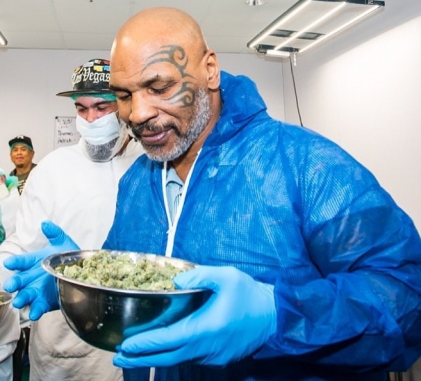 Divertido boxeador Mike Tyson plantea en su rancho de marihuana y trata a sus invitados