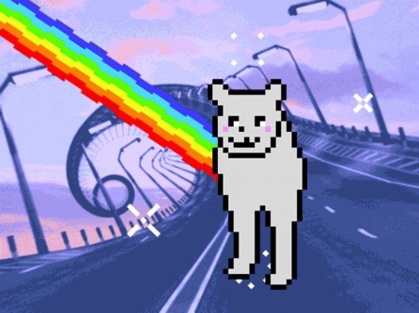 Divertido encaramado en los pasos de un gato se convirtió en un héroe fotozhab