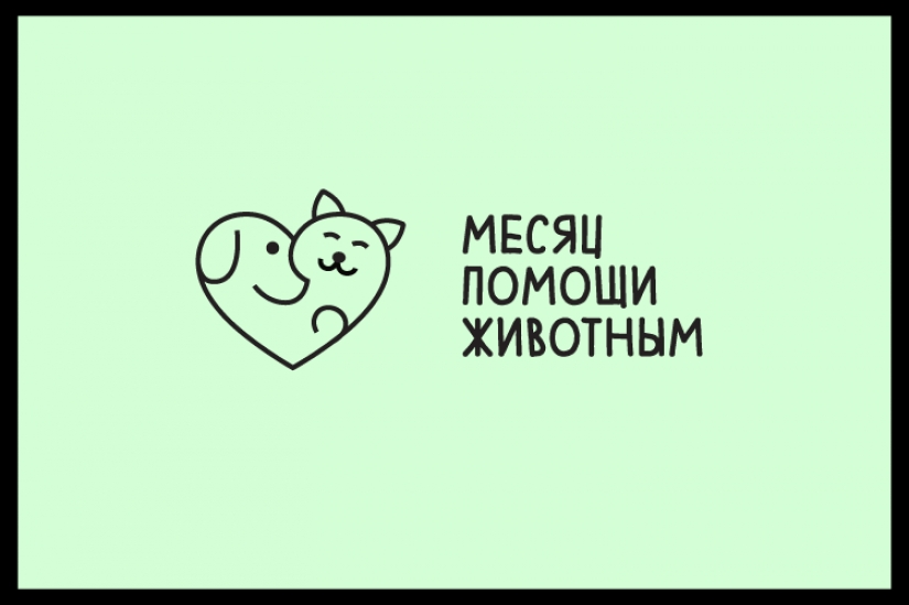 Dogs and cats looking for a home Dogs and cats looking for a home