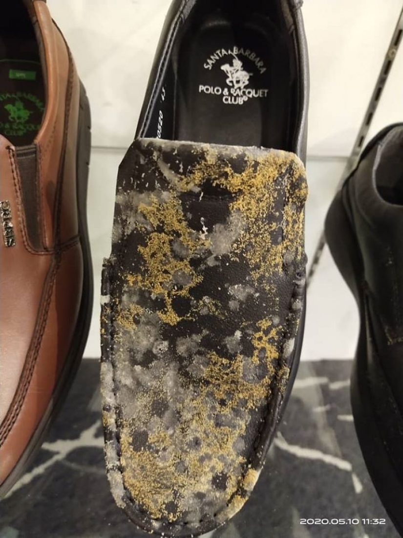 Dos meses de cuarentena de los productos en el centro comercial de Malasia fue cubierto con moho Dos meses de cuarentena de los productos en el centro comercial de Malasia fue cubierto con moho