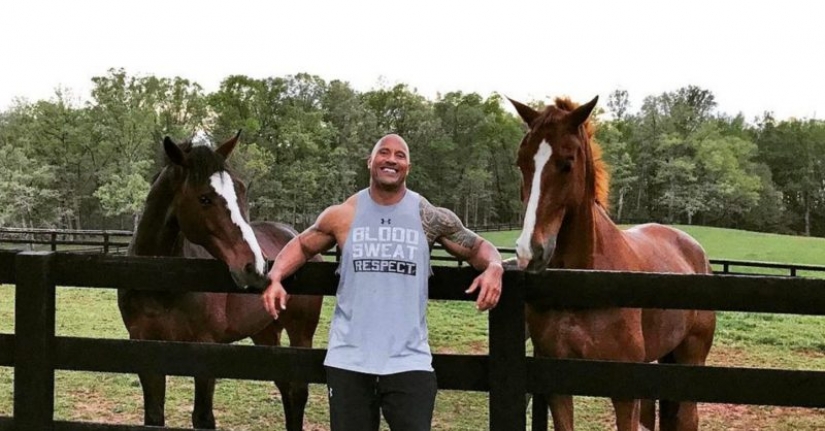 Drugged: 10 luxury items that are owned by Rock Johnson Drugged: 10 luxury items that are owned by Rock Johnson