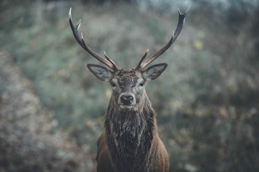 Each photo is like a painting: Belgian creates expressive landscapes of Northern Europe