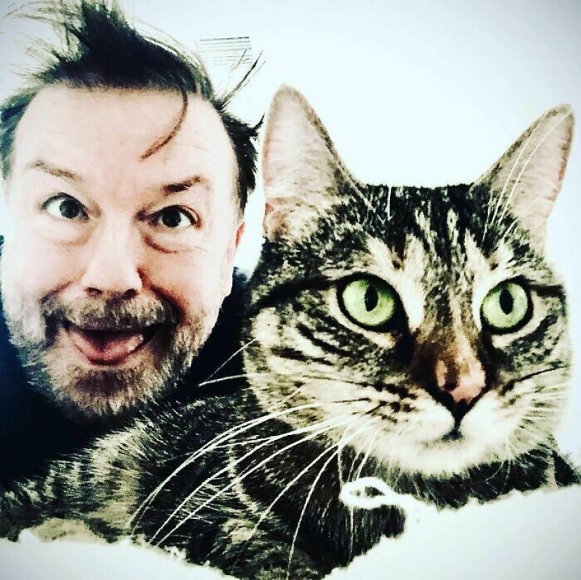 El Actor Ricky Gervais pensado para llevar al gato a la sobreexposición, pero ella cambió sus planes