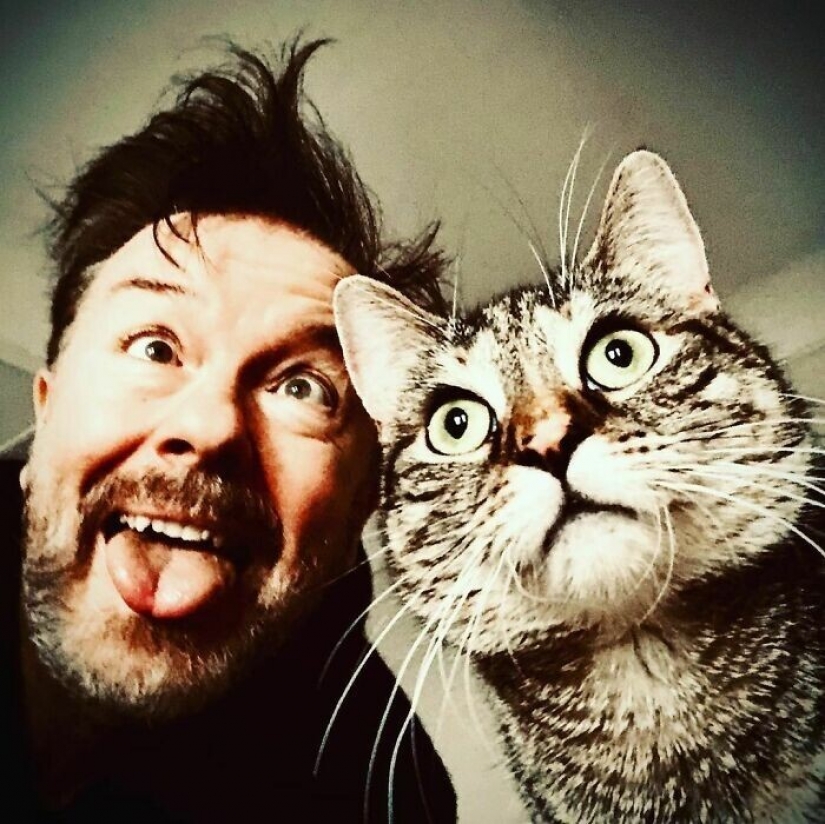 El Actor Ricky Gervais pensado para llevar al gato a la sobreexposición, pero ella cambió sus planes