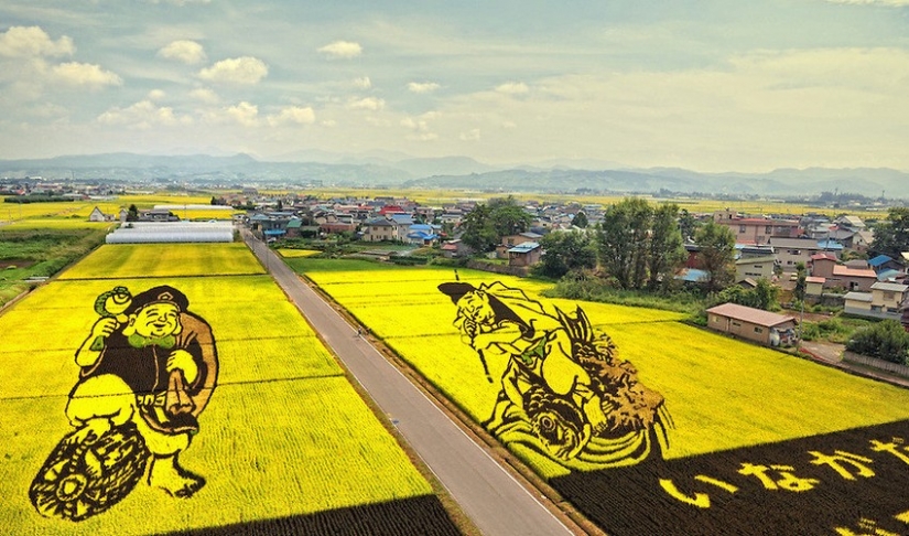 El arte de Tambo — increíbles imágenes en los campos de arroz de Japón