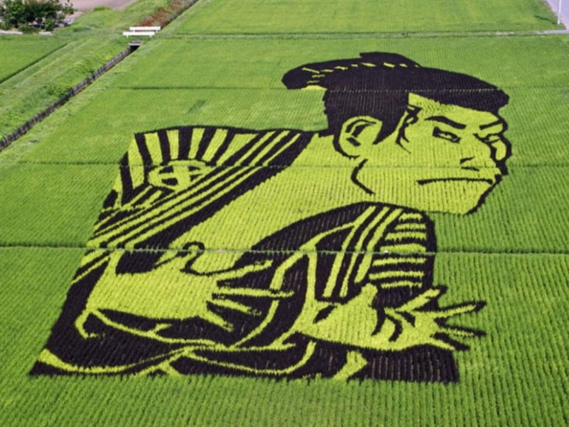 El arte de Tambo — increíbles imágenes en los campos de arroz de Japón