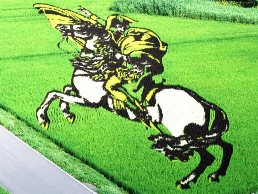 El arte de Tambo — increíbles imágenes en los campos de arroz de Japón