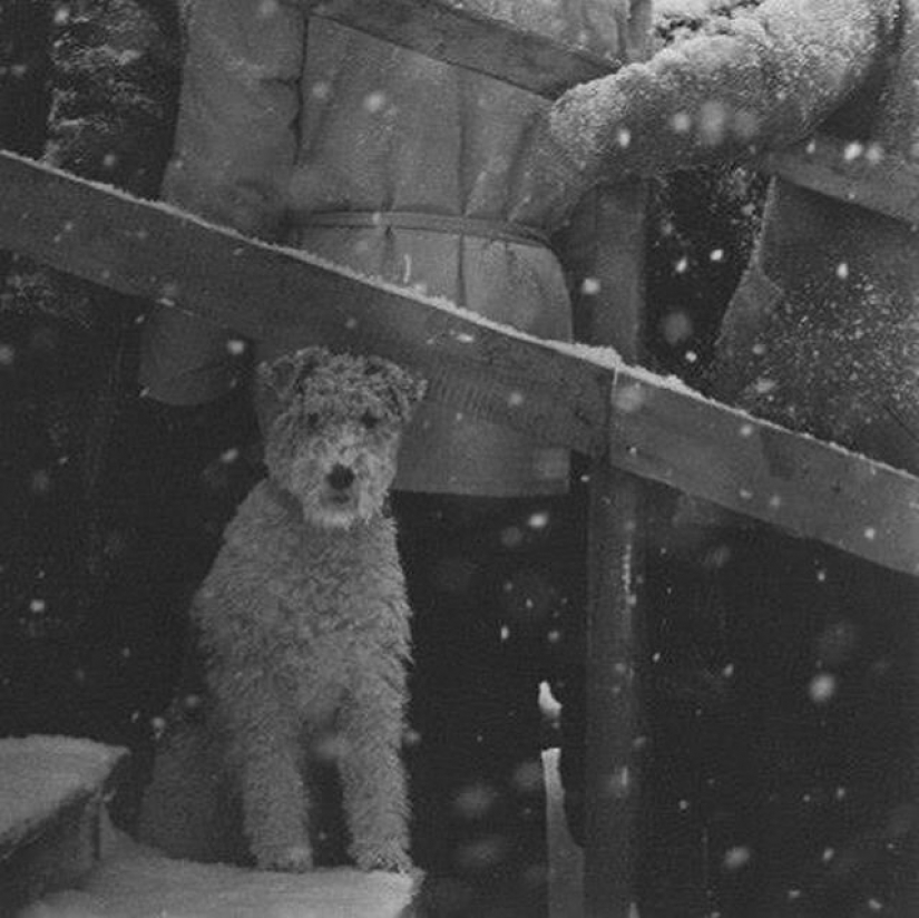 El chico de Riga da vida a un viejo Soviética de la foto, lo que les obliga a moverse El chico de Riga da vida a un viejo Soviética de la foto, lo que les obliga a moverse
