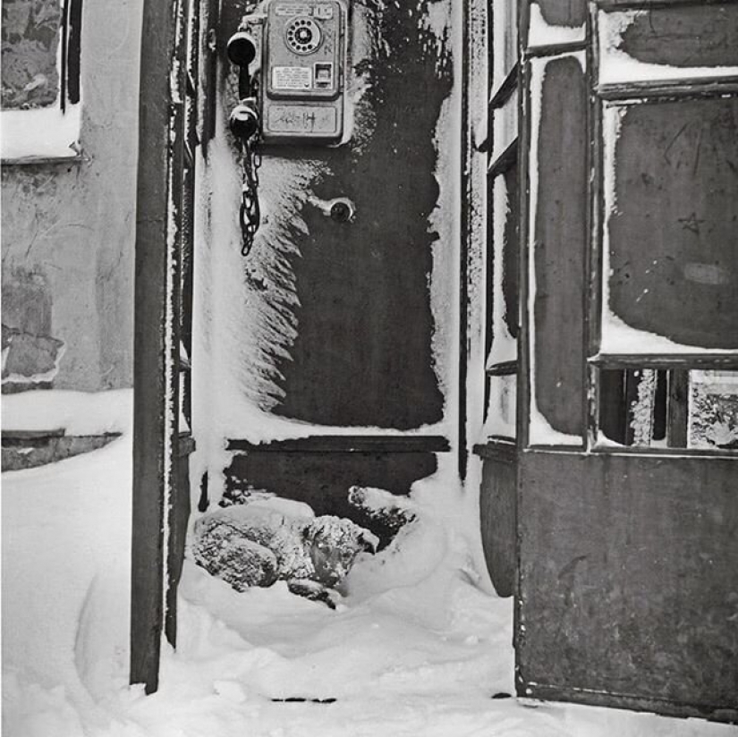 El chico de Riga da vida a un viejo Soviética de la foto, lo que les obliga a moverse El chico de Riga da vida a un viejo Soviética de la foto, lo que les obliga a moverse