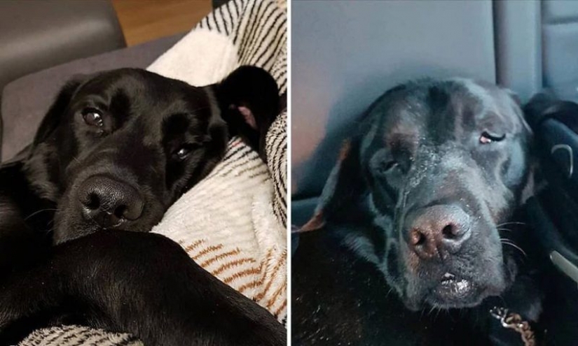 El culto de la madre sustituta: ¿qué hay detrás del brillo de instabloggers El culto de la madre sustituta: ¿qué hay detrás del brillo de instabloggers