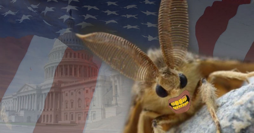 El gigante de lymantria en los Estados unidos — un nuevo ataque difícil de 2020
