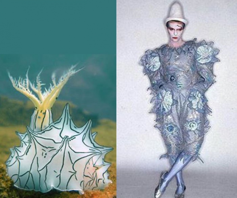 El gran David Bowie y sus homólogos, babosas de mar El gran David Bowie y sus homólogos, babosas de mar