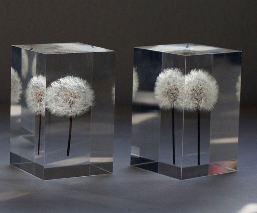 El más creativo de lámparas y luminarias El más creativo de lámparas y luminarias