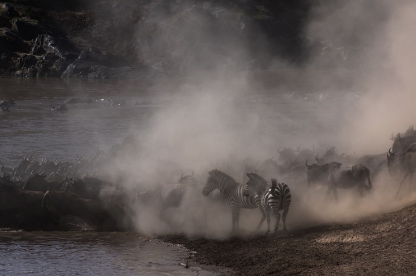 El más espectacular show en el salvaje El más espectacular show en el salvaje